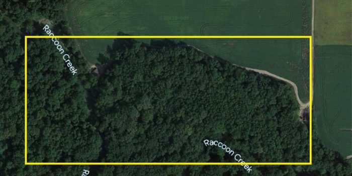20 +/- ACRES With Cabin – Online Real Estate Auction